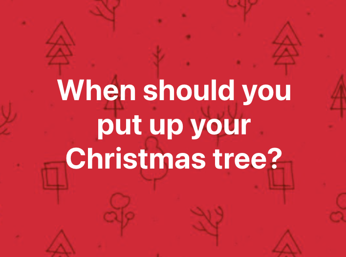 When should you put up your Christmas tree?